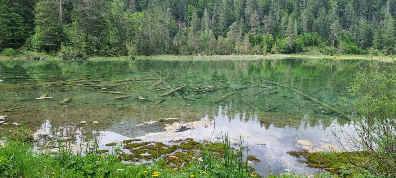 Ferienwohnung Ela Reutte Exteriör bild
